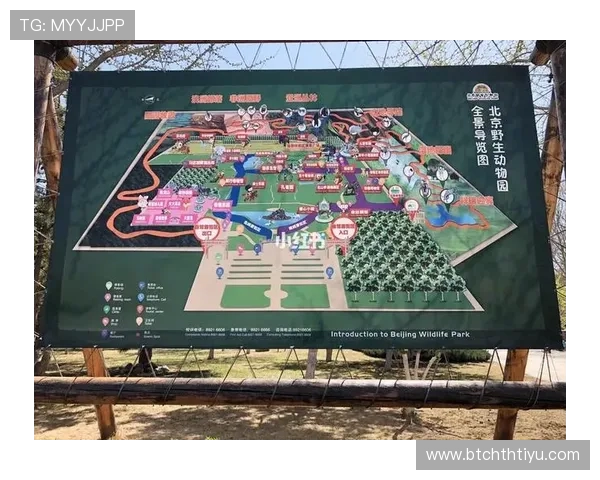 华体会娱乐官网入口：便捷快速的华体会官网入口导航指南